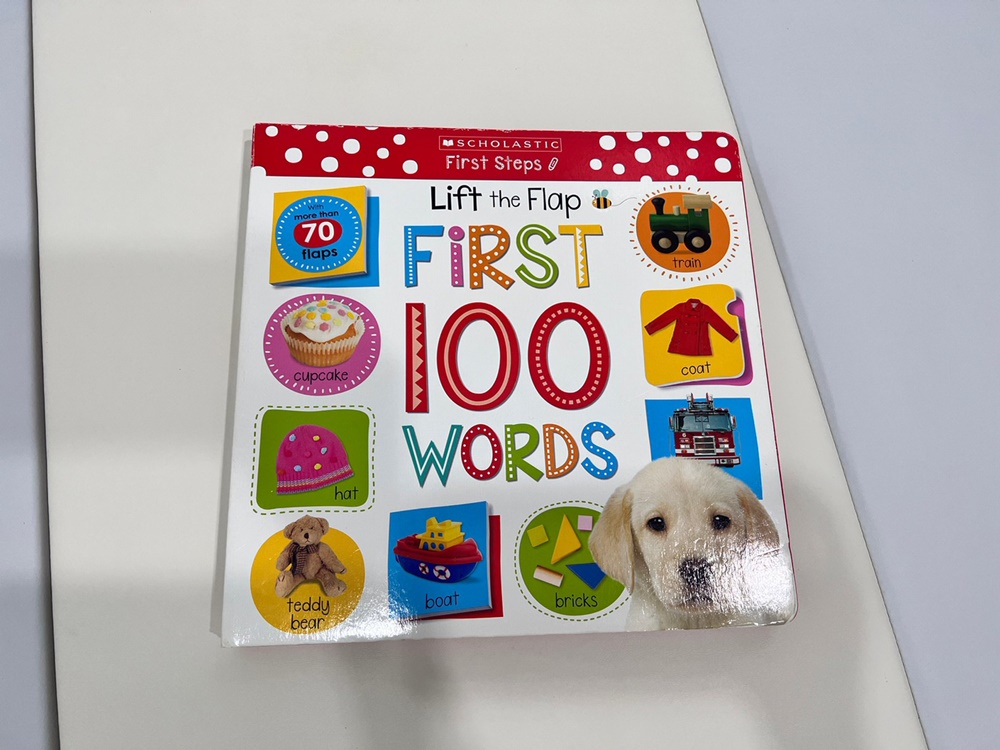 First Steps 幼兒認知學習點讀套書｜寶寶的第一套英文學習啟蒙書