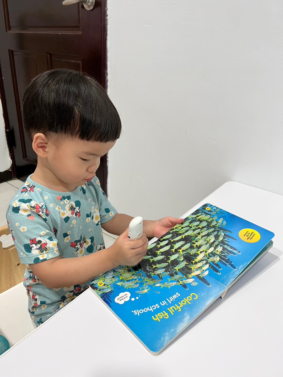 國家地理兒童科普點讀硬頁書｜Little Kids First Board Book｜幼兒的第一套科普點英文硬頁書