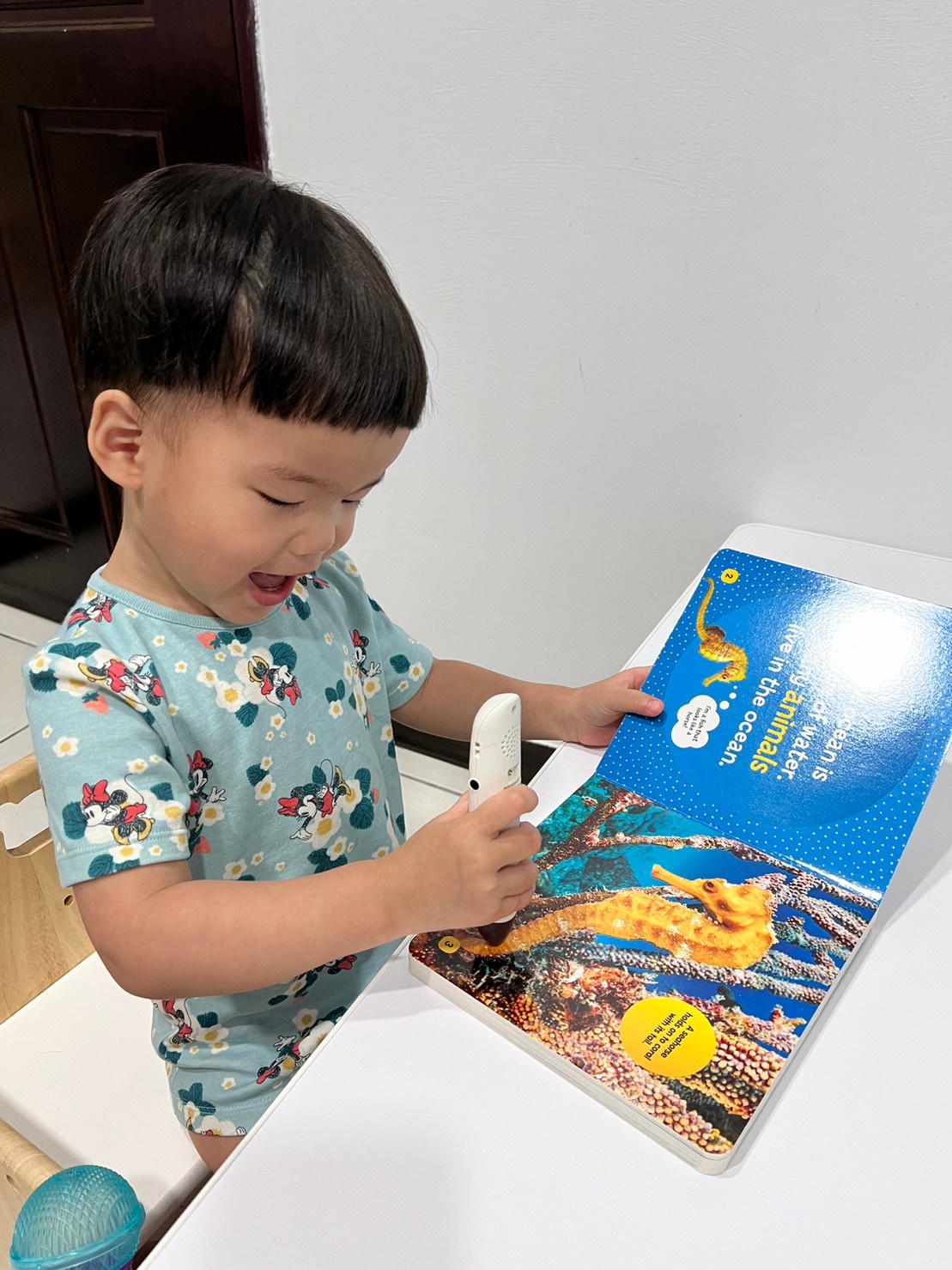 國家地理兒童科普點讀硬頁書｜Little Kids First Board Book｜幼兒的第一套科普點英文硬頁書