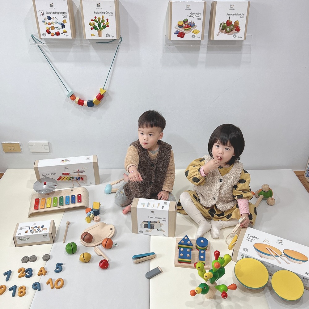 【Plan Toys】泰國第一品牌木玩、無毒環保、益智耐摔、高質感教具-分齡懶人包