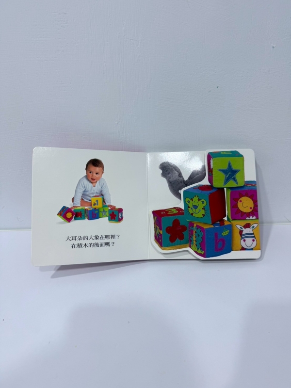 【信誼/上誼童書團購】0M親子共讀書單推薦 - 雙胞胎卡辣姆久 X 洋芋片 【信誼/上誼童書團購】0M親子共讀書單推薦
