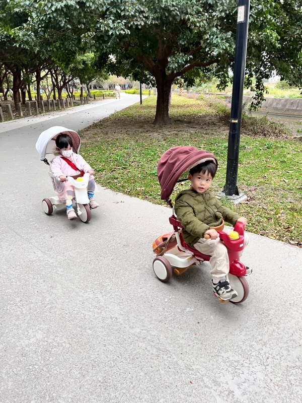 【iimo折疊三輪車團購】日本美學幼兒腳踏車|第一台腳踏車|零基礎學騎車